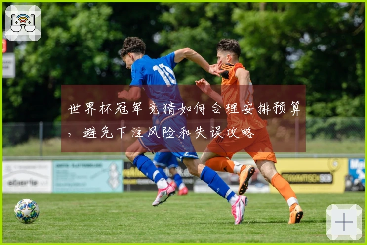 世界杯冠军竞猜如何合理安排预算，避免下注风险和失误攻略