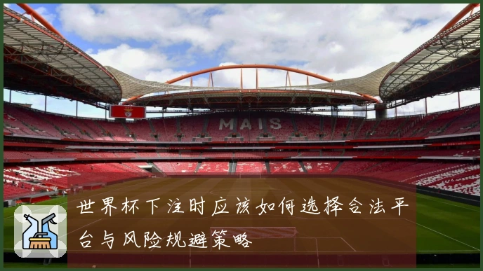 世界杯下注时应该如何选择合法平台与风险规避策略
