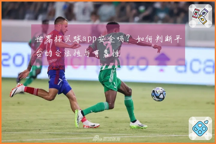 世界杯买球app安全吗？如何判断平台的合法性与可靠性