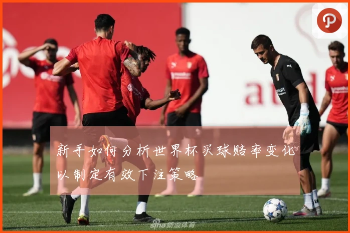 新手如何分析世界杯买球赔率变化以制定有效下注策略