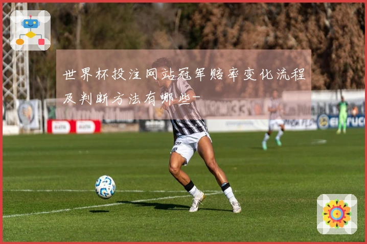世界杯投注网站冠军赔率变化流程及判断方法有哪些-