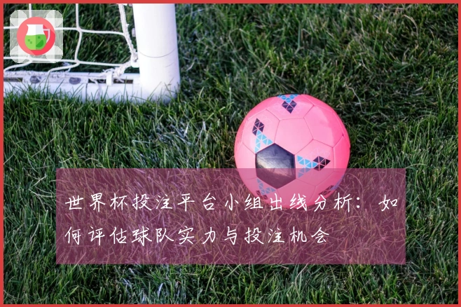 世界杯投注平台小组出线分析：如何评估球队实力与投注机会