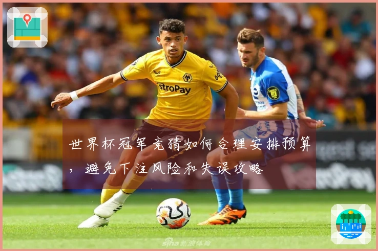 世界杯冠军竞猜如何合理安排预算，避免下注风险和失误攻略