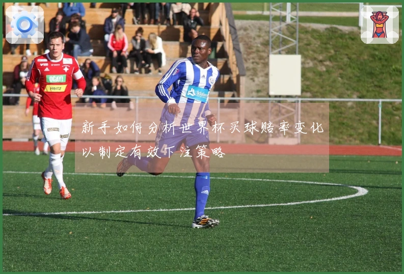 新手如何分析世界杯买球赔率变化以制定有效下注策略